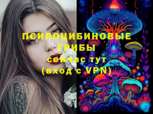соль ск Алексин