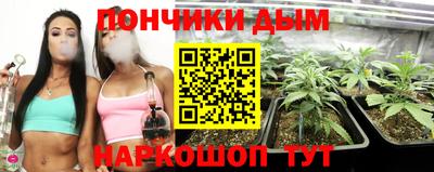 индика Берёзовский
