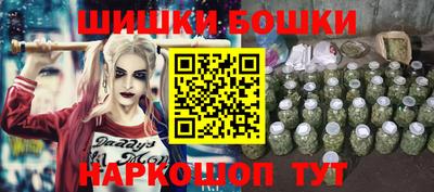 индика Берёзовский