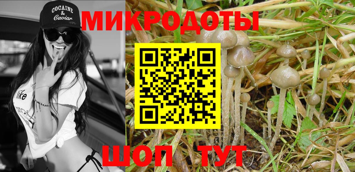 Псилоцибиновые грибы ЛСД Гуково
